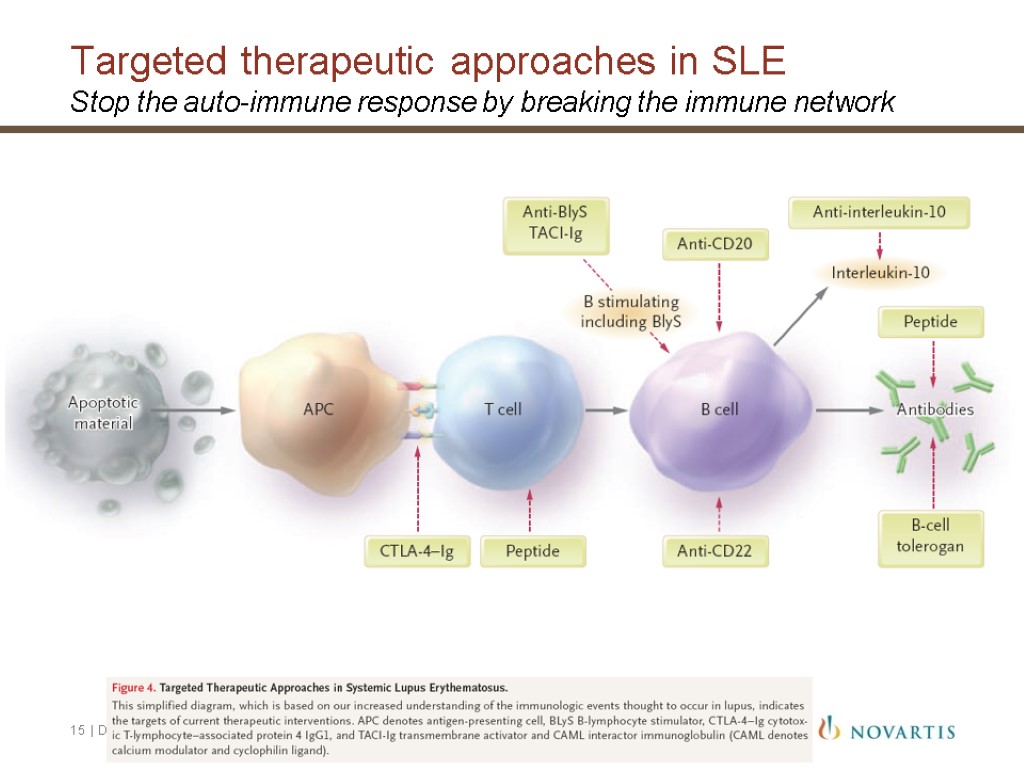 Targeted therapeutic approaches in SLE Stop the auto-immune response by breaking the immune network